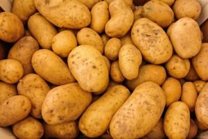семенной картофель